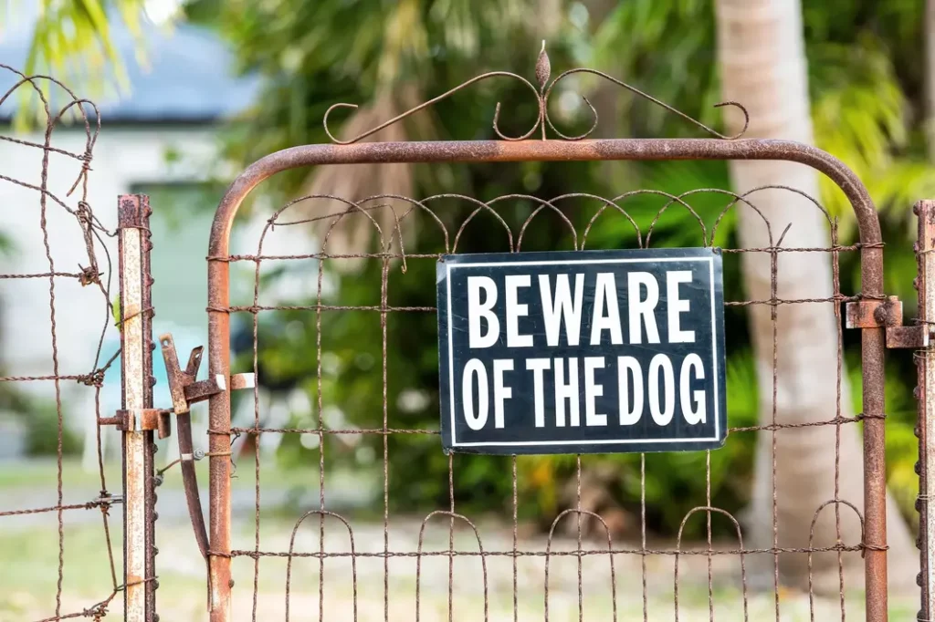 Beware of dog sign on a chain-link fence gate.